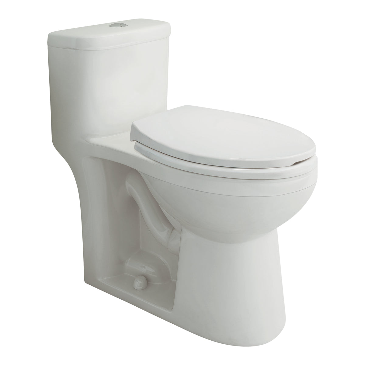 WaterRidge One-piece Toilet