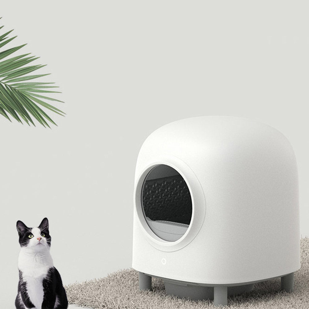 Automatic Cat Litter