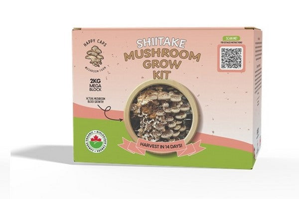 Shiitake mushroom grow kit