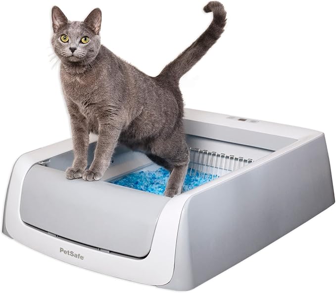 Petsafe ScoopFree Automatic Self-Cleaning Cat Litter Box