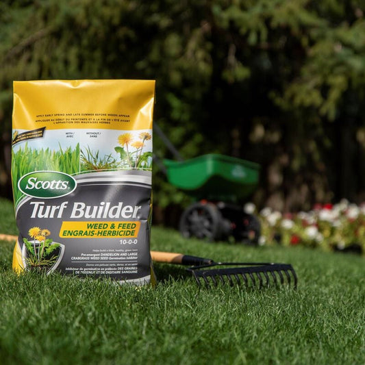 Scotts Weed and Feed - 18.2kg