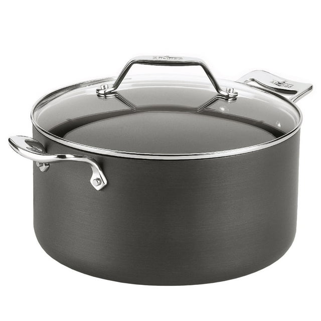 All-Clad Stock Pot with Glass Lid, 6.6 L (7 qt.)